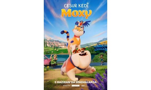 CESUR KEDİ MAXY